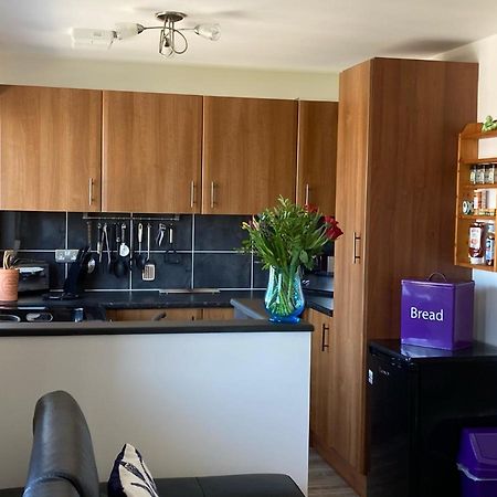 The Snug Ilfracombe Apartment Екстериор снимка